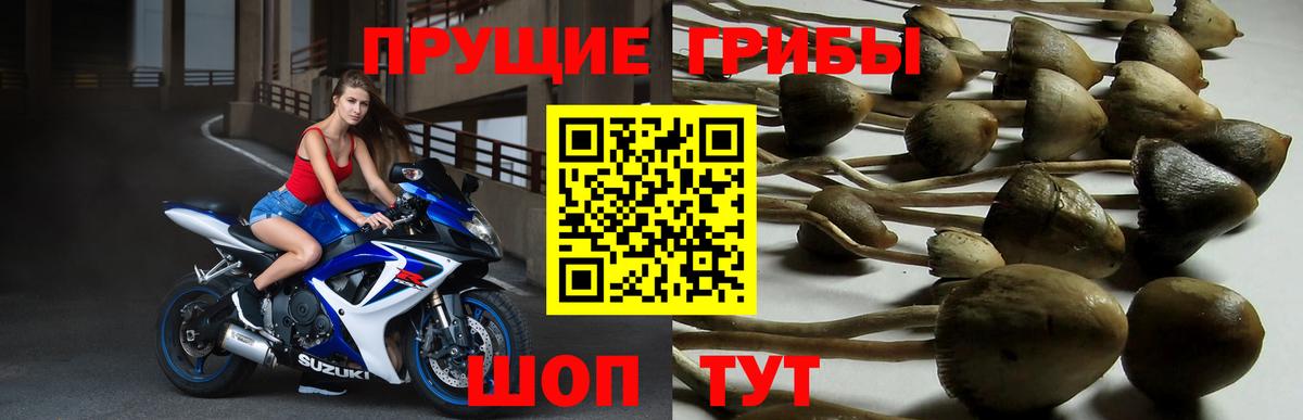 Псилоцибиновые грибы прущие грибы  Вход с VPN  Серпухов 